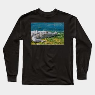 Come here my precious Long Sleeve T-Shirt